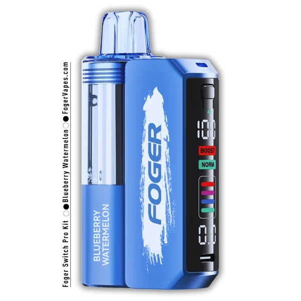 blueberry-watermelon-foger-switch-pro-30k-puffs-disposable-Kit