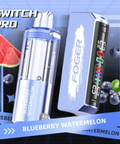 Blueberry watermelon kit by Foger with the prefilled pod clicked into the reusable 850mAh power bank dock