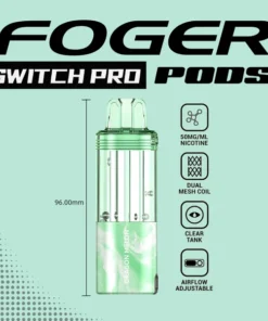 Dragon Melon Foger Switch Pro 30K disposable vape pod – 30,000 puffs, 1.0Ω dual-mesh coil