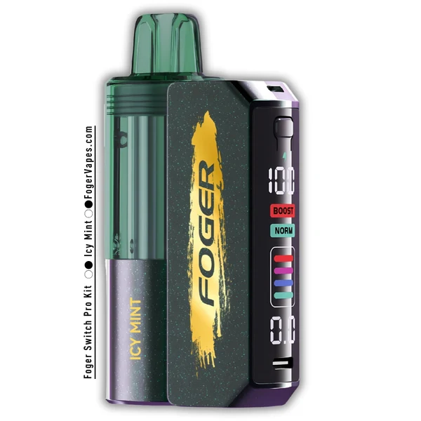 icy-mint-foger-switch-pro-30k-puffs-disposable-Kit